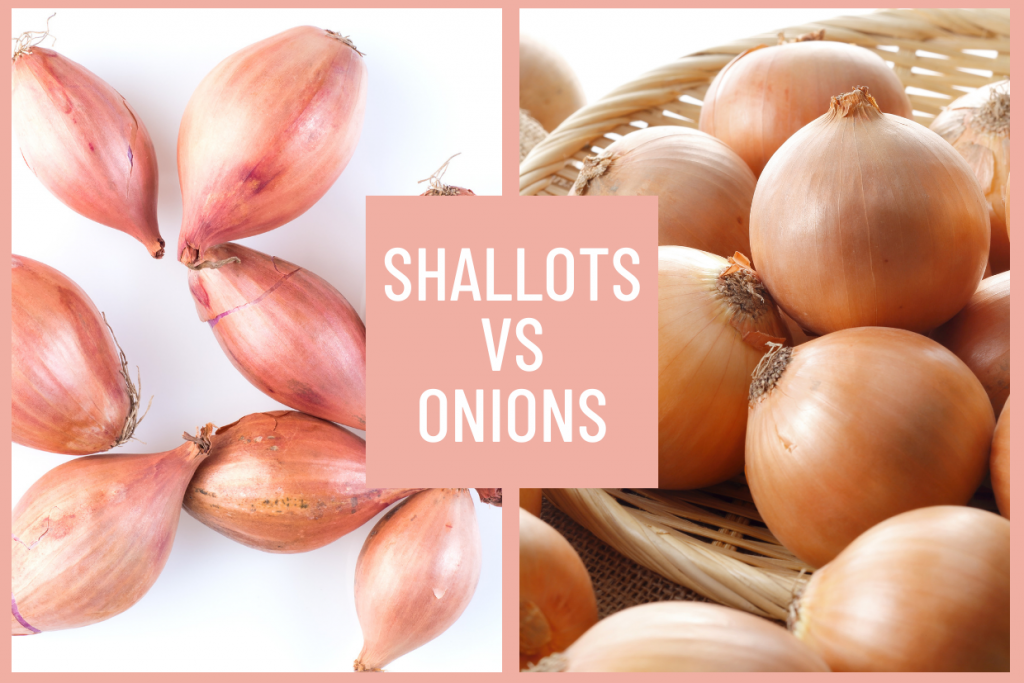 shallots-vs-onions